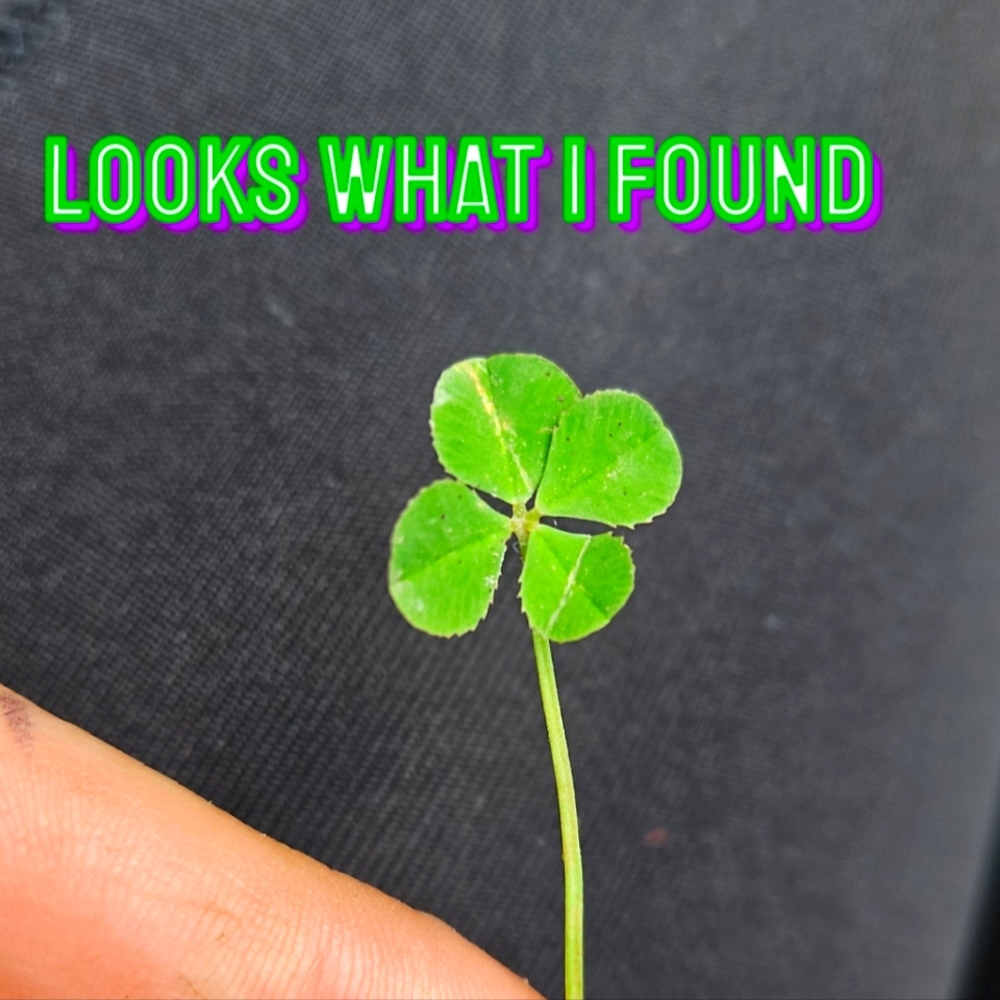 Today Only Free Shipping On Any Order First 3 Peo… - image 1